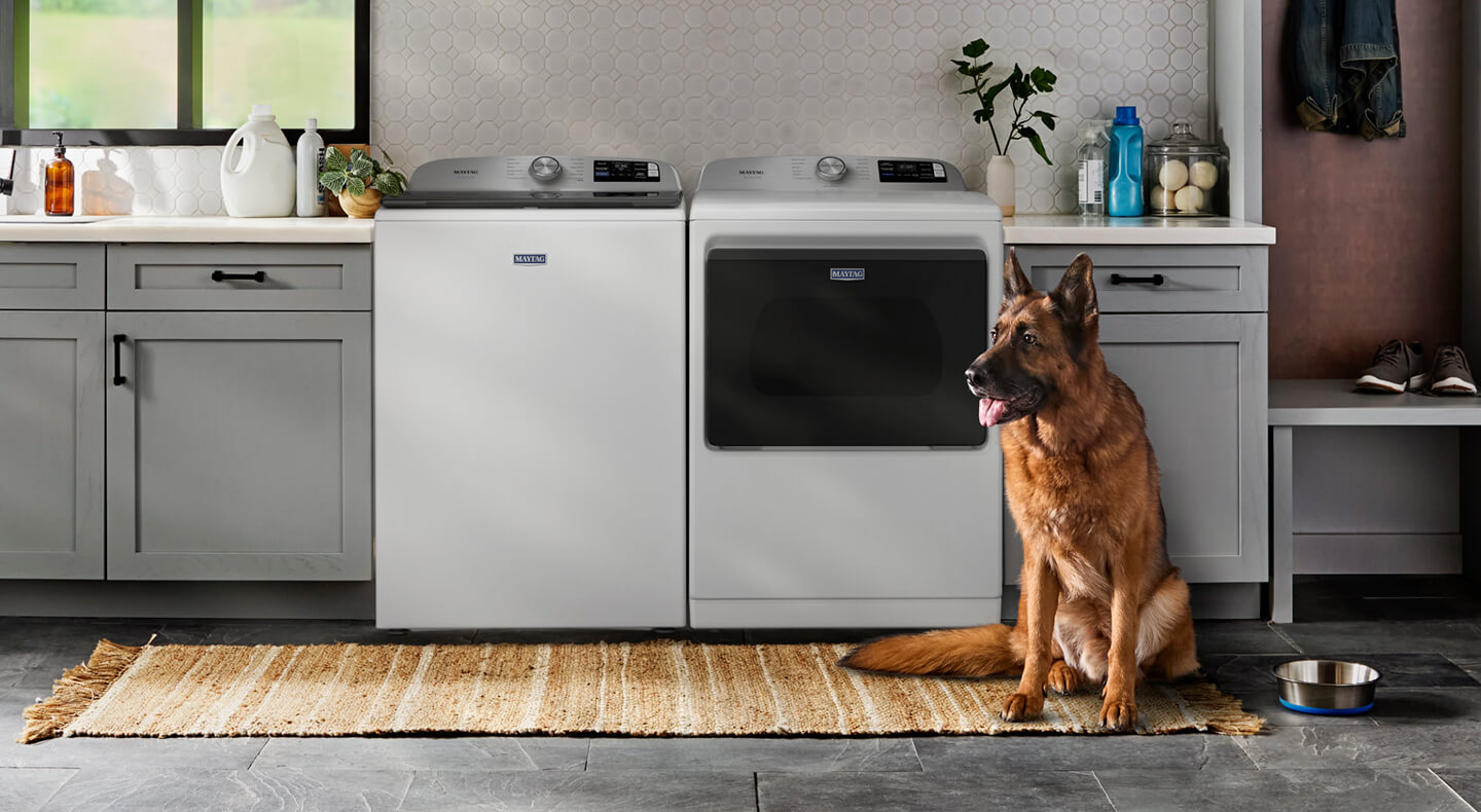 Dog in front of a top load washer and dryer set