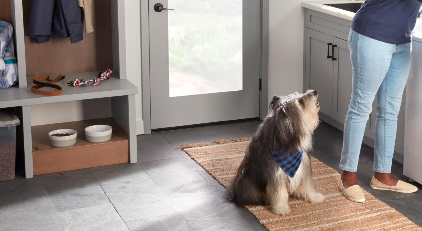 Dog watching a woman grab something from the kitchen sink