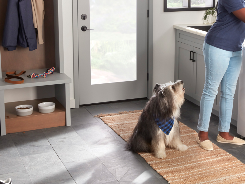 Dog watching a woman grab something from the kitchen sink
