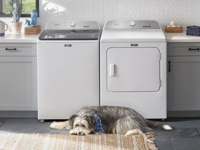 A dog laying in front of a white Maytag® washer and dryer set