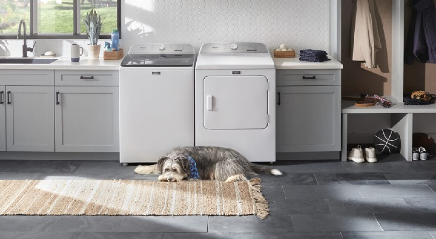 A dog laying in front of a white Maytag® washer and dryer set