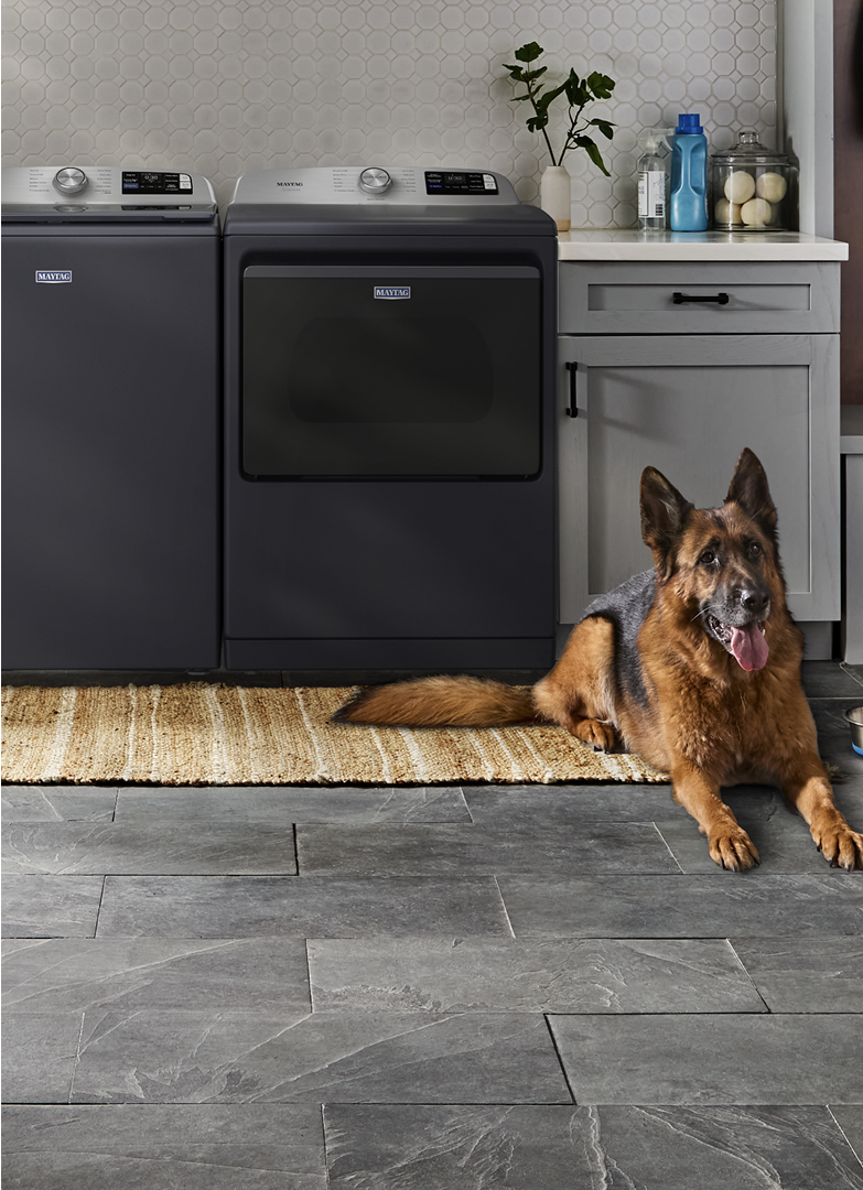 A dog laying in front of a Maytag® washer and dryer set.