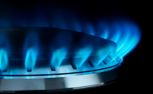Gas burner flame