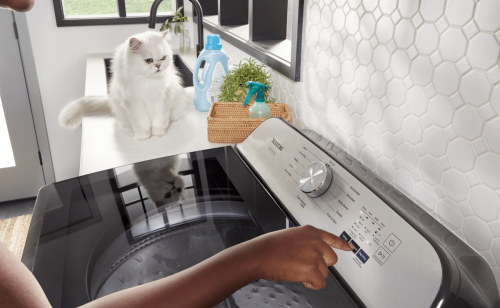 A laundry room with a cat.