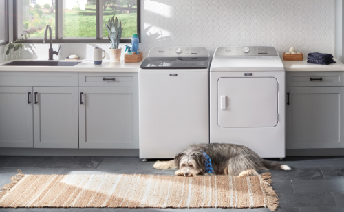 Dog in a laundry room in front of a white top load Maytag® washer and dryer pair