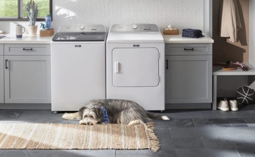 A Maytag® washer with a dog next to it