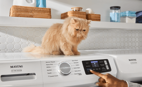Cat sitting on top of a Maytag® washer while person selects settings