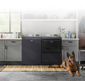 A dog laying in front of the Pet Pro System.