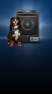 A front load washing machine with a dog.