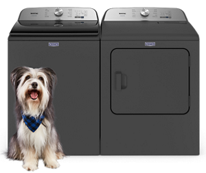 A furry dog in front of a Maytag® Pet Pro washer and dryer set.