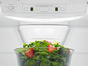 Bowl of salad below temperature controls inside a refrigerator