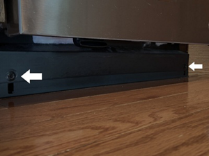Dishwasher access panel with screws