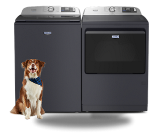 A Maytag® laundry set with a dog in front.