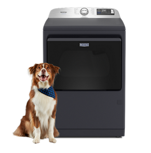 A Maytag® dryer with a dog in front