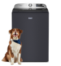 A Maytag® washer with a dog in front