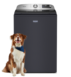 Maytag® top load washer in midnight steel with a dog in front.